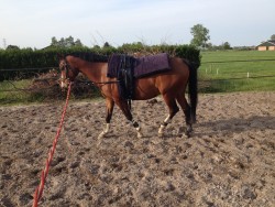 Afbeelding invoegen